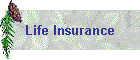 Life Insurance